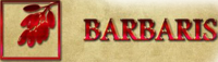 BARBARIS, диско-бар